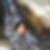 Photo de profil Marie-Pierre Claverie Photo de profil de Marie-Pierre Claverie