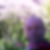 Photo de profil Laurent Provost Photo de profil de Laurent Provost