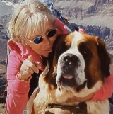 Photo de profil de Francoise Campet