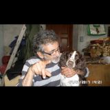 Photo de profil de Manuel de Sousa