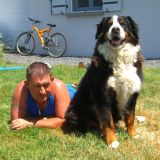 Photo de profil de David Benoit