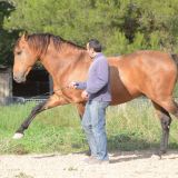 Photo de profil de Frédéric Leca