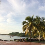 Photo de profil de Valérie Colin