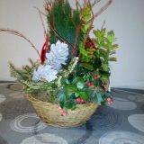 Photo de profil de France Clerc